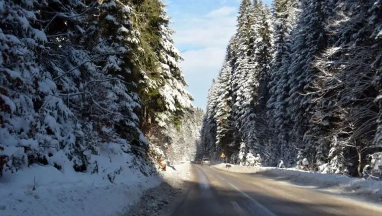 planina