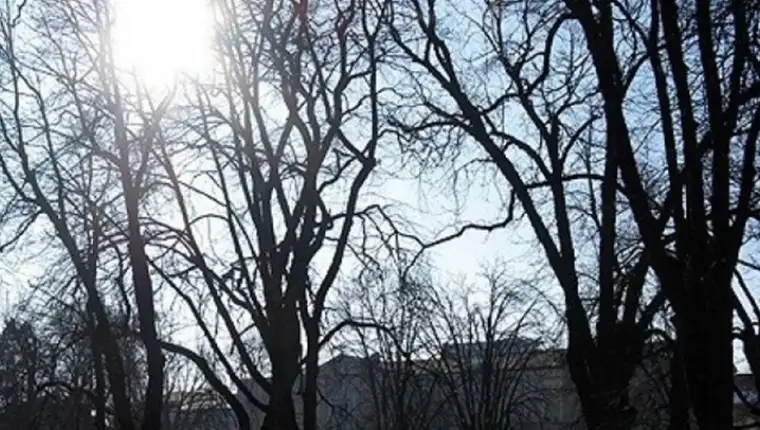 Screenshot_43