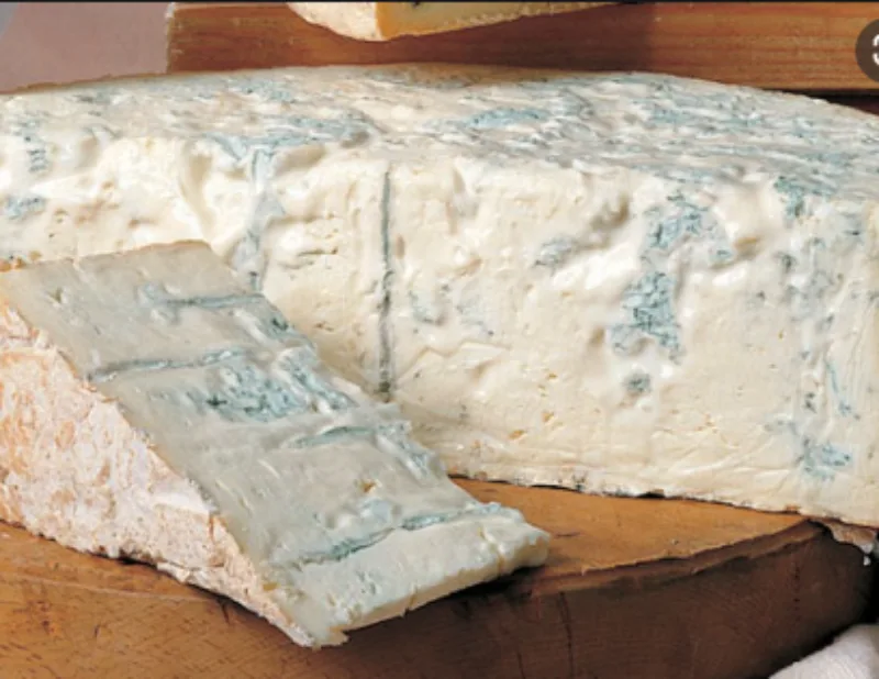 gorgonzola 1