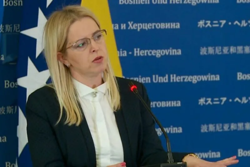 novakovic bursac
