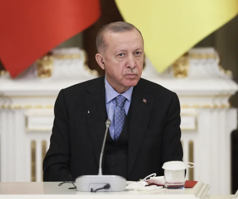 erdogan 54