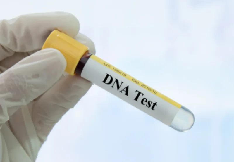 dnk test 1
