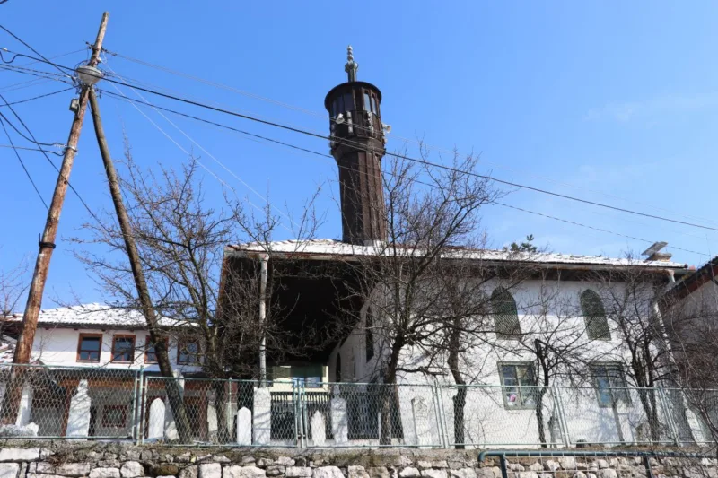 budzaci