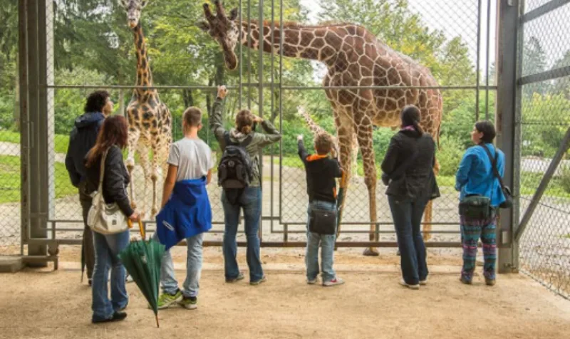 ljubljasnja zooloski vrt 1