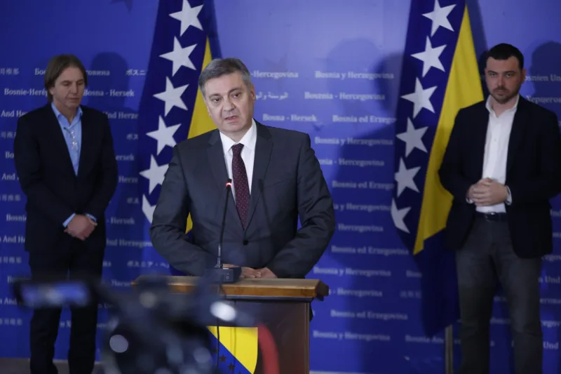 Denis Zvizdić