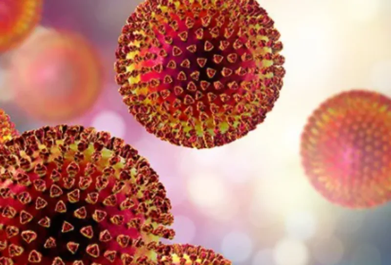 lasa virus 1