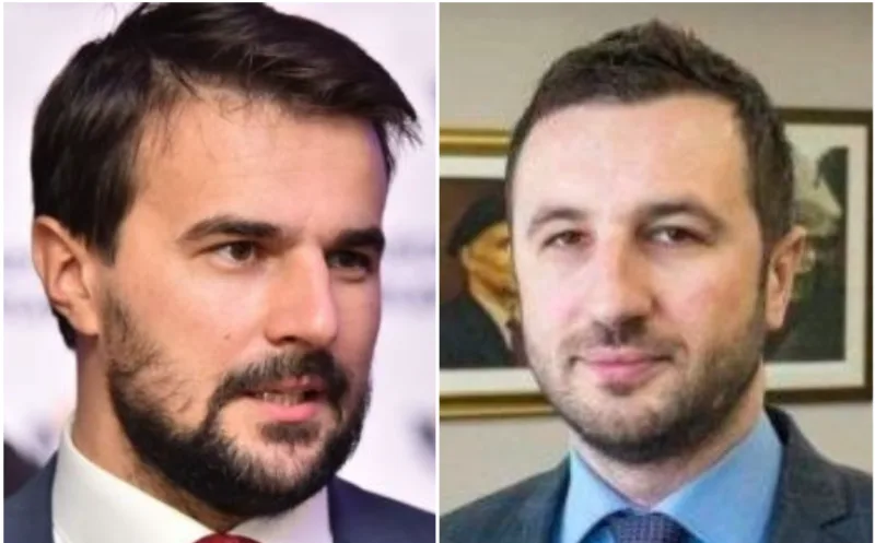 muzur efendic