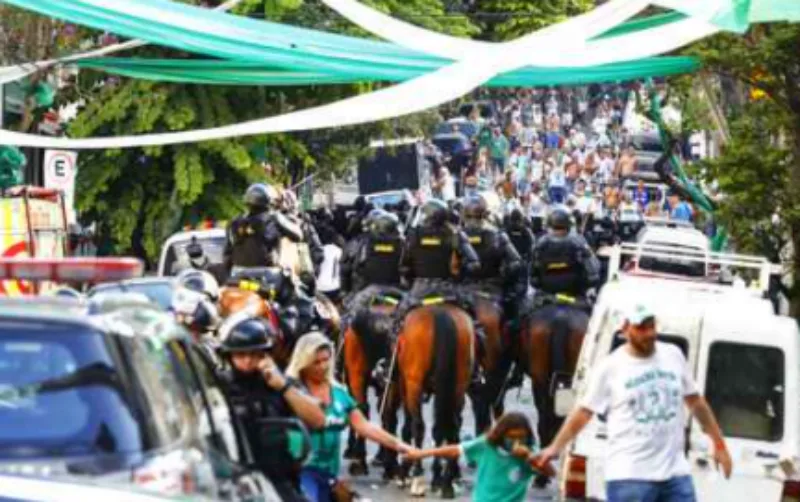 brazilas navijac 1
