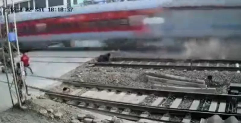 mumbai voz 1
