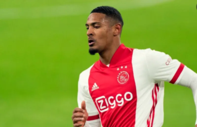 haller 3