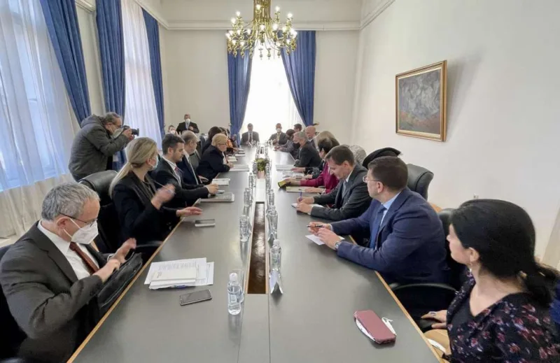 turkovic i ambasadori