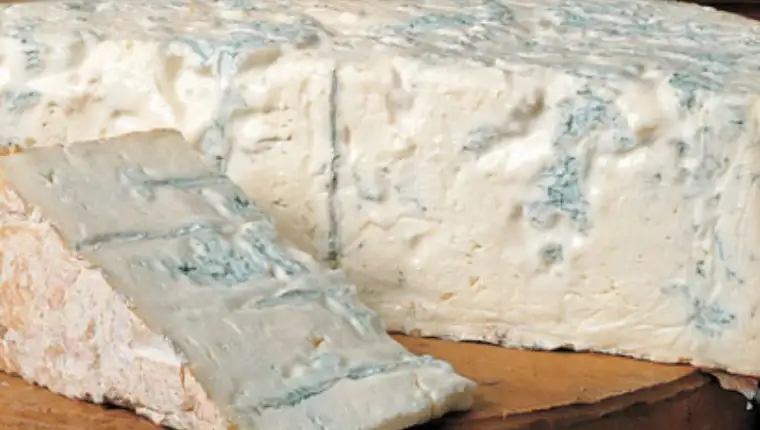 gorgonzola 1