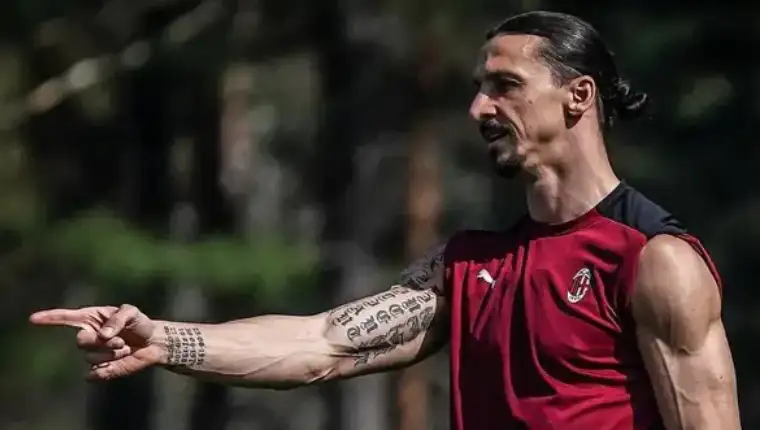zlatan 44