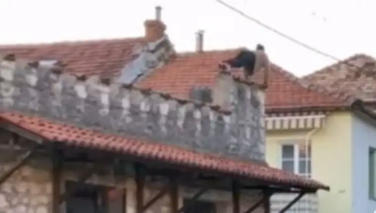 trebinje sklekovi 1