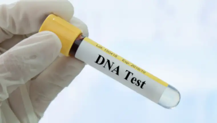 dnk test 1