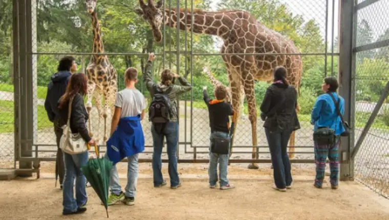 ljubljasnja zooloski vrt 1