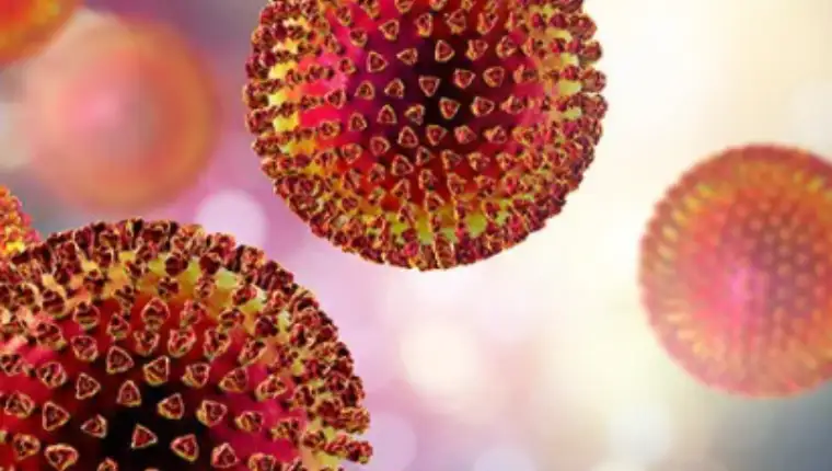 lasa virus 1