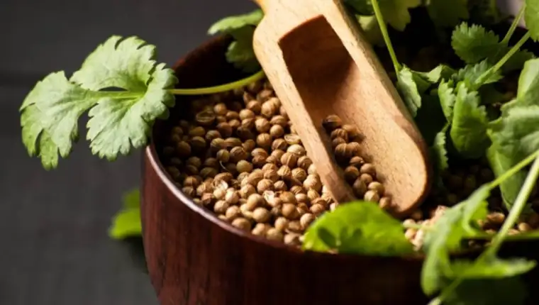 Screenshot_28