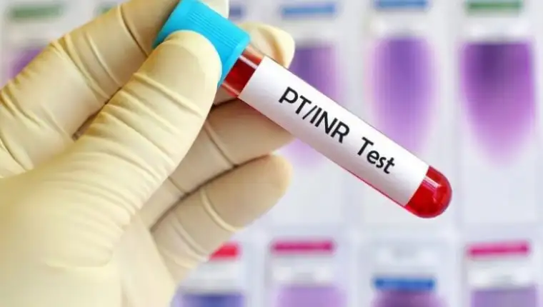 INR_test-780x470