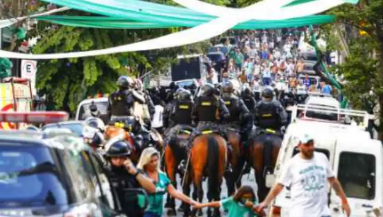brazilas navijac 1