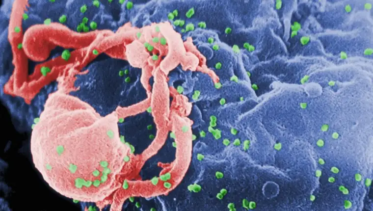 hiv virus