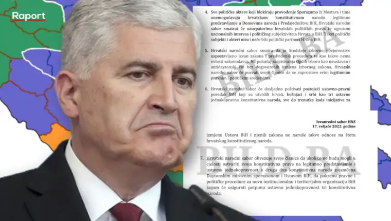 covic hns zakljucci