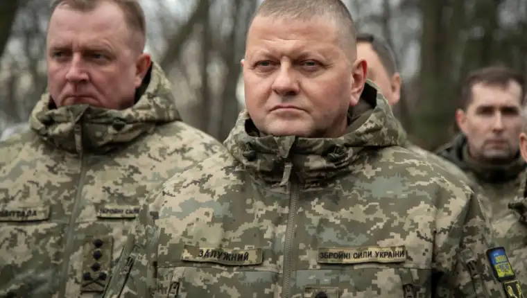 zaluznij