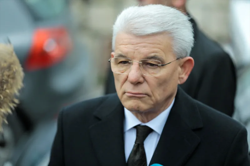 sefik dzaferovic aa