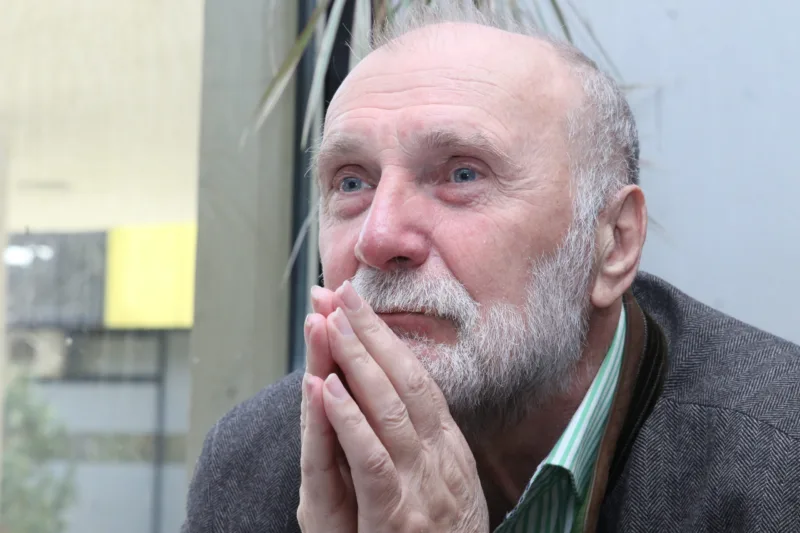 dzevad karahasan (42)