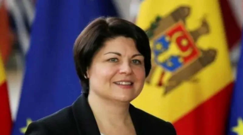 gavrilita 1