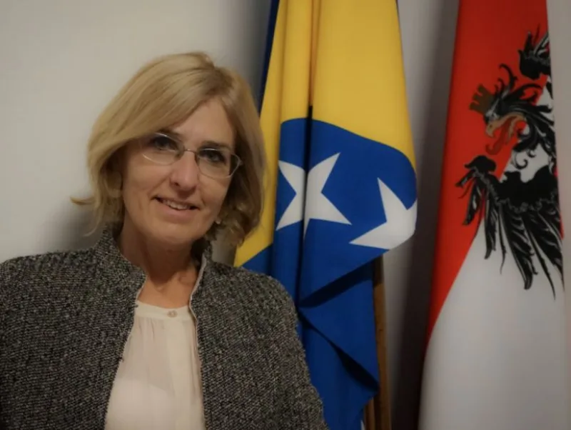 ulrike hartmannn