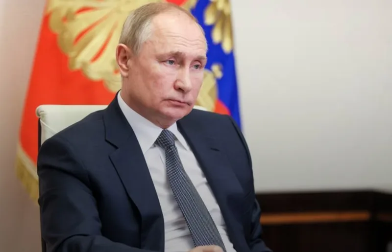putin dd