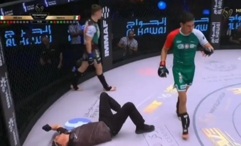 mma sudija nokaut 1