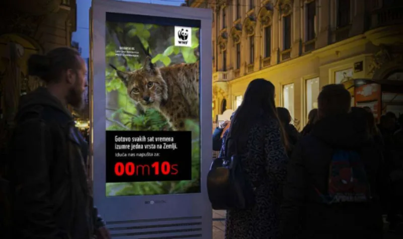 wwf adria 1
