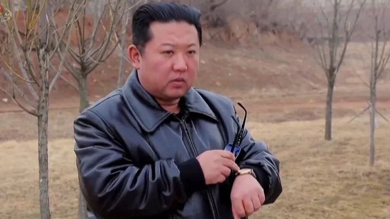 kim projektil,