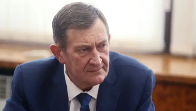 vojin mitrovic