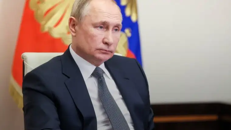 putin dd