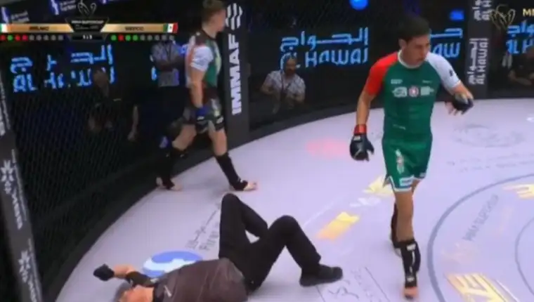 mma sudija nokaut 1