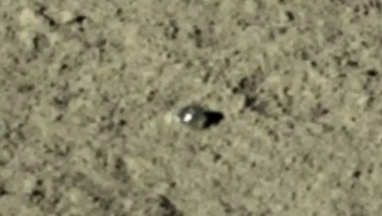 Screenshot_35