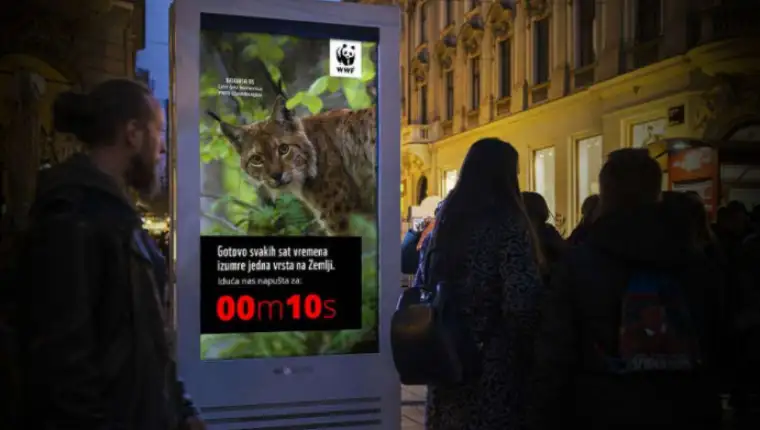 wwf adria 1