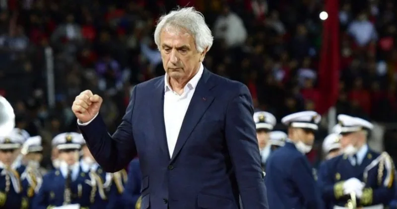 halihodzic