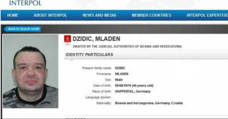 mladen dzidic