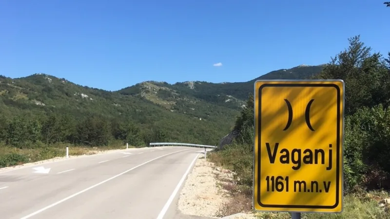 vaganj