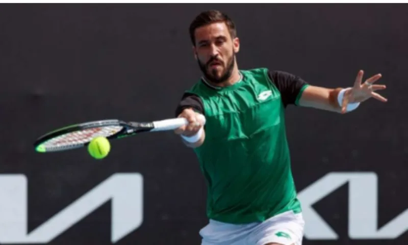 dzumhur 34