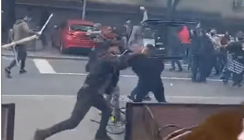 grobari delije 1