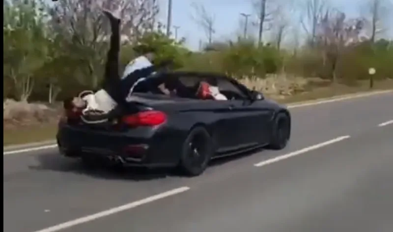 bmw mesreca 1