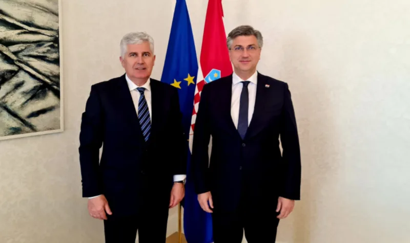 covic plenkovic ss
