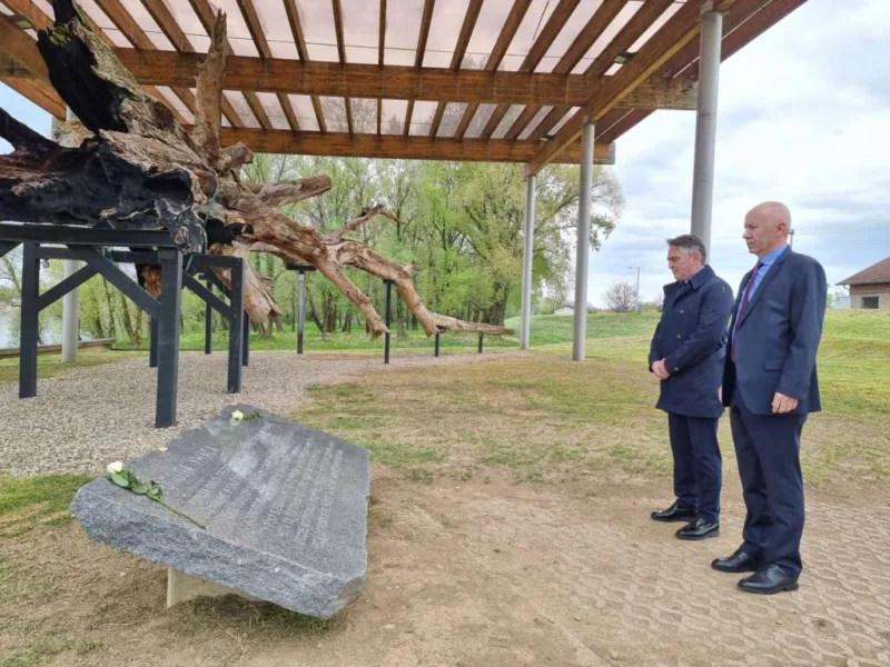 komsic donja gradina