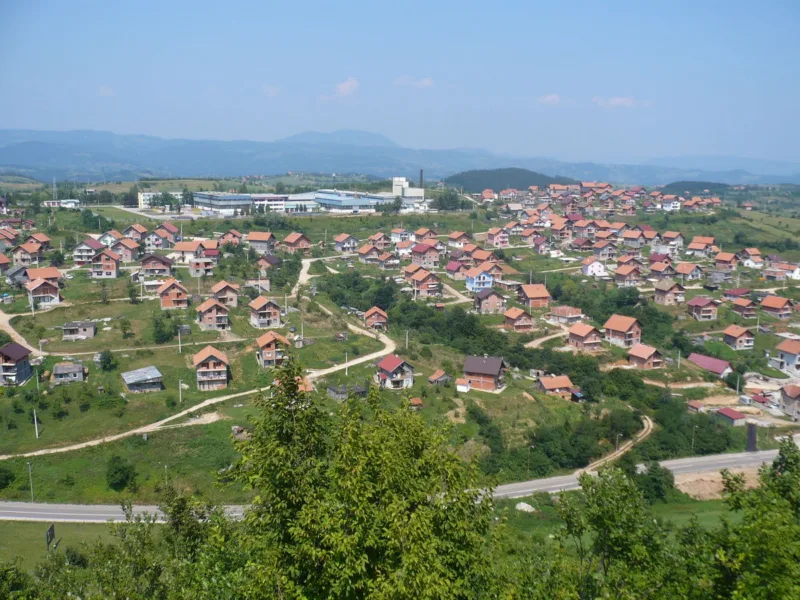 vlasnica
