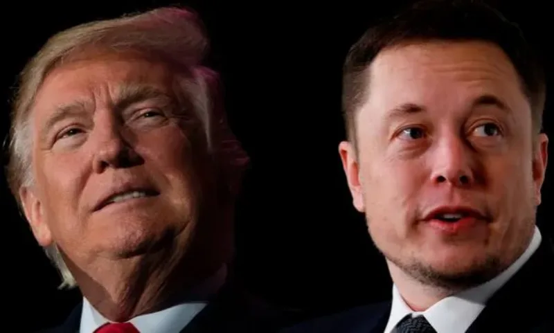 musk i trump